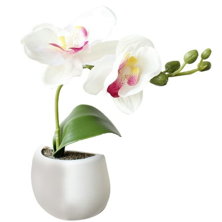 - Artificial Flowers Plants Refrigerator Magnets Fake Potted Plant Fridge Magnet Wall Sticker Nature Art Decorations for Home Living Room Kitchen