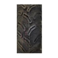 thumbnail image 2 of Llanta 22x8-10 para moto tubeless 46D AMS Blackwidow, 2 of 2