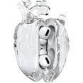 thumbnail image 3 of 808fc Multiple Wireless Earphones Heart Drop-Proof Case with Carabiner, Transparent, 3 of 9