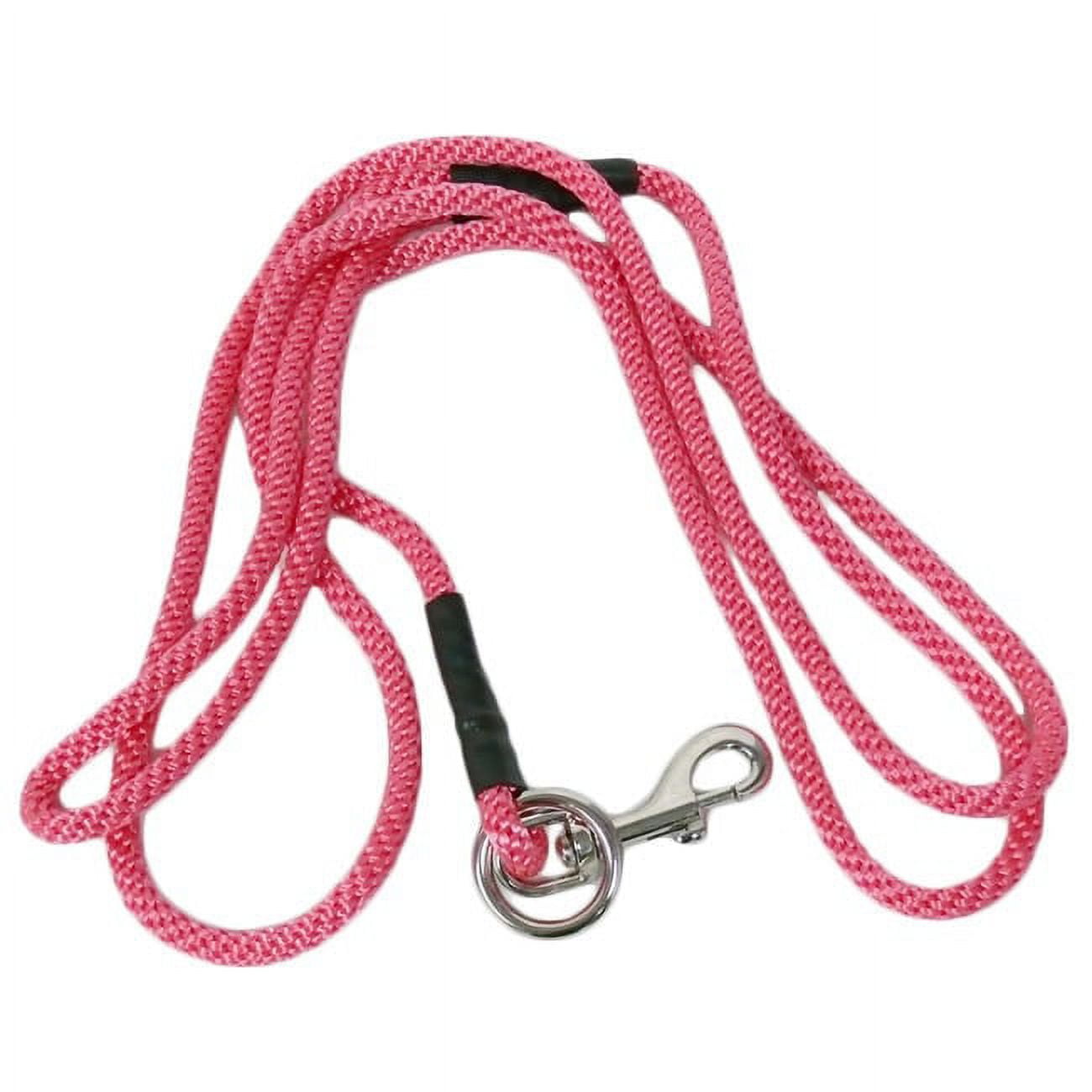 Love2pet no pull leash 2025