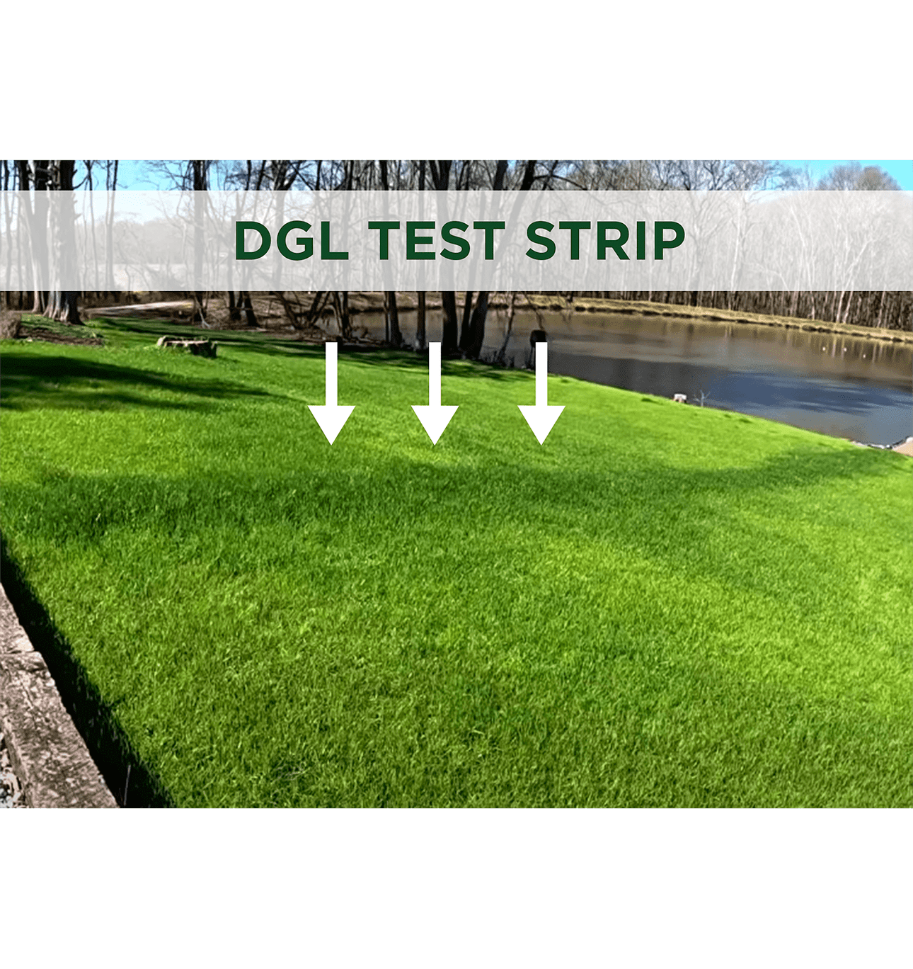 The Andersons Professional DGL Dark Green Lawn™ 25-0-0 Fertilizer - Covers 5,000 sqft. (18lb. Bag)