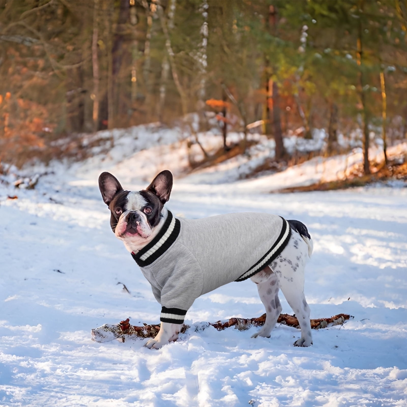 Kuoser Dog Winter Sweater, Cute Pet Pullover Vest, Soft and Thick Sweatshirt for Dogs and Cats, Gray, XS