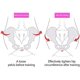thumbnail image 3 of Inner Thigh Exerciser, Super Kegel Exerciser Pelvic Floor Muscle Medial Trainer, Hips Muscle Trainer Bladder Controller Correction, 3 of 5