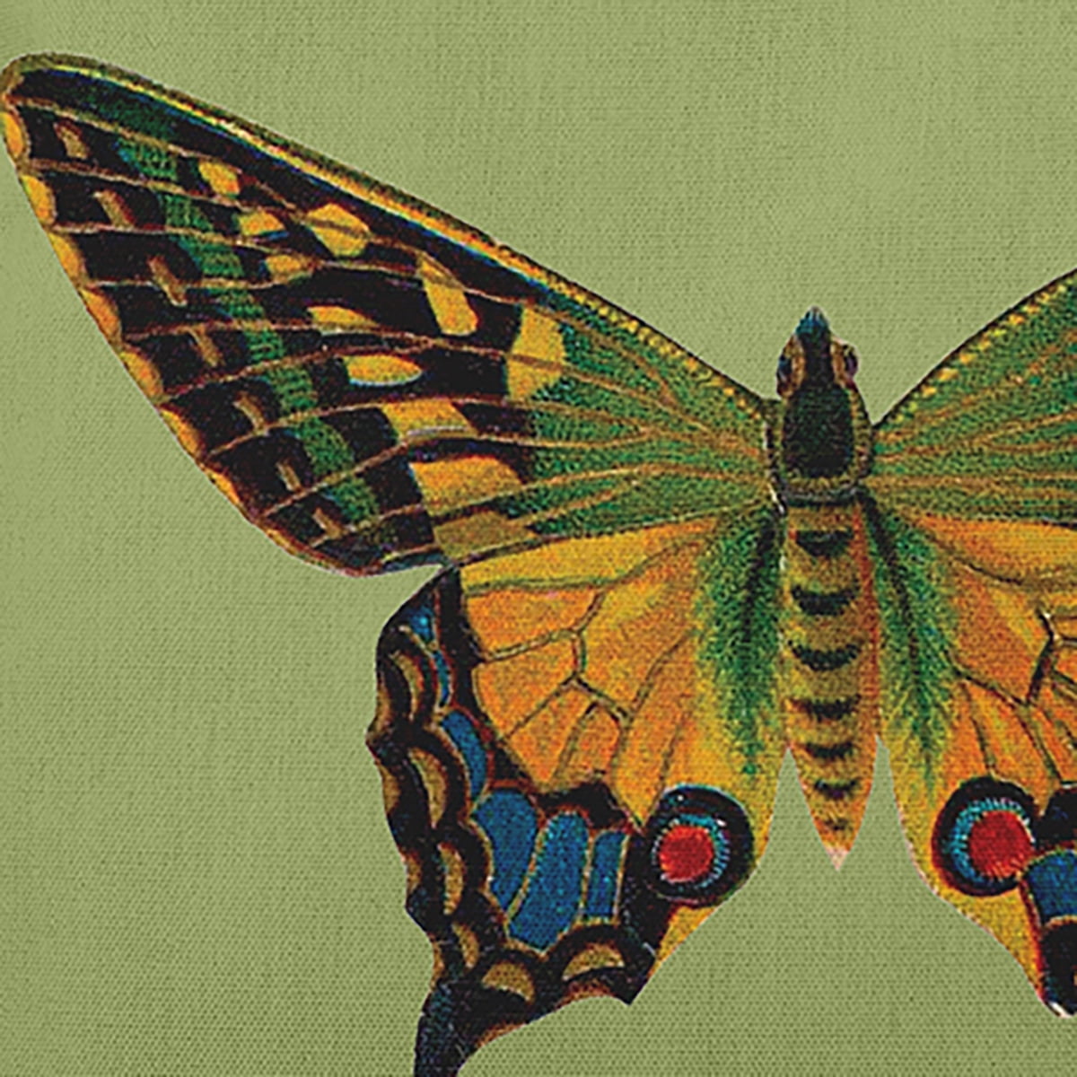 14" x 20" Simply Daisy Colorful Swallowtail Indoor/Outdoor Pillow, Apple Green Qty 1