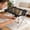 🔥 Black_New#2721, variant on Small Dog Grooming Hammock Bed for Bathing, Nail Trimming and Hair Cutting, Detachable Scratch-Resistant Pet Bathing Rack for Small Dogs and Cats