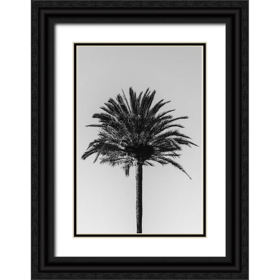 Artographie Studio 13x18 Black Ornate Wood Framed with Double Matting Museum Art Print Titled - Palm 003