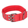 thumbnail image 1 of Collar para perro, ligero, transpirable, ajustable, resistente, de nailon, para entrenamiento de perros medianos y grandes, color rojo, 1 of 8
