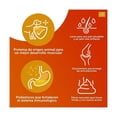 thumbnail image 2 of Alimento para perro Grand Pet Carne Fresca Force, longevidad y fortaleza 20kg, 2 of 4
