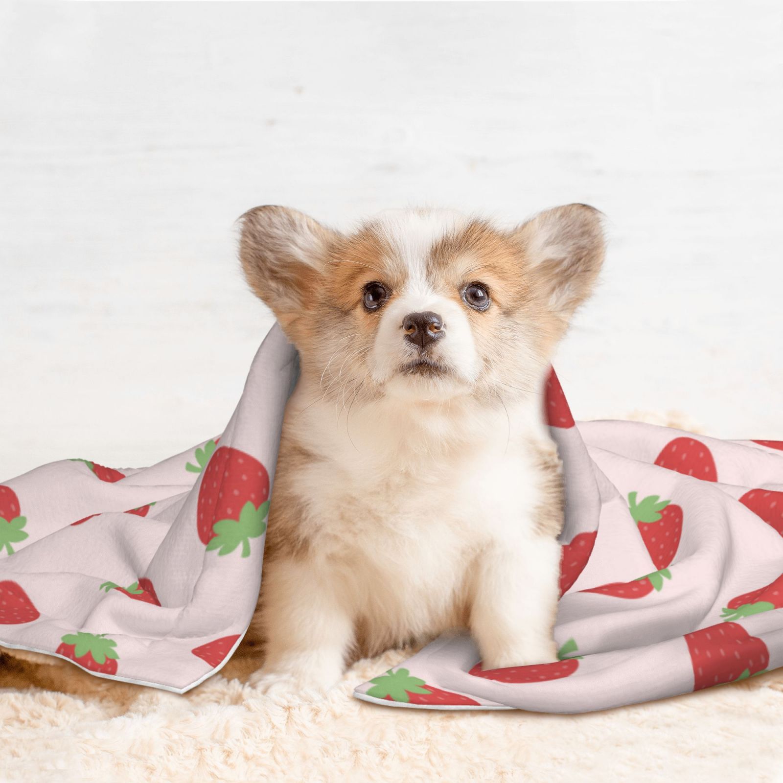 Naloa Strawberry Dog Blanket, 3 Sizes Cat Blanket for Indoor Cats Large Medium Small Dog Gifts-Large