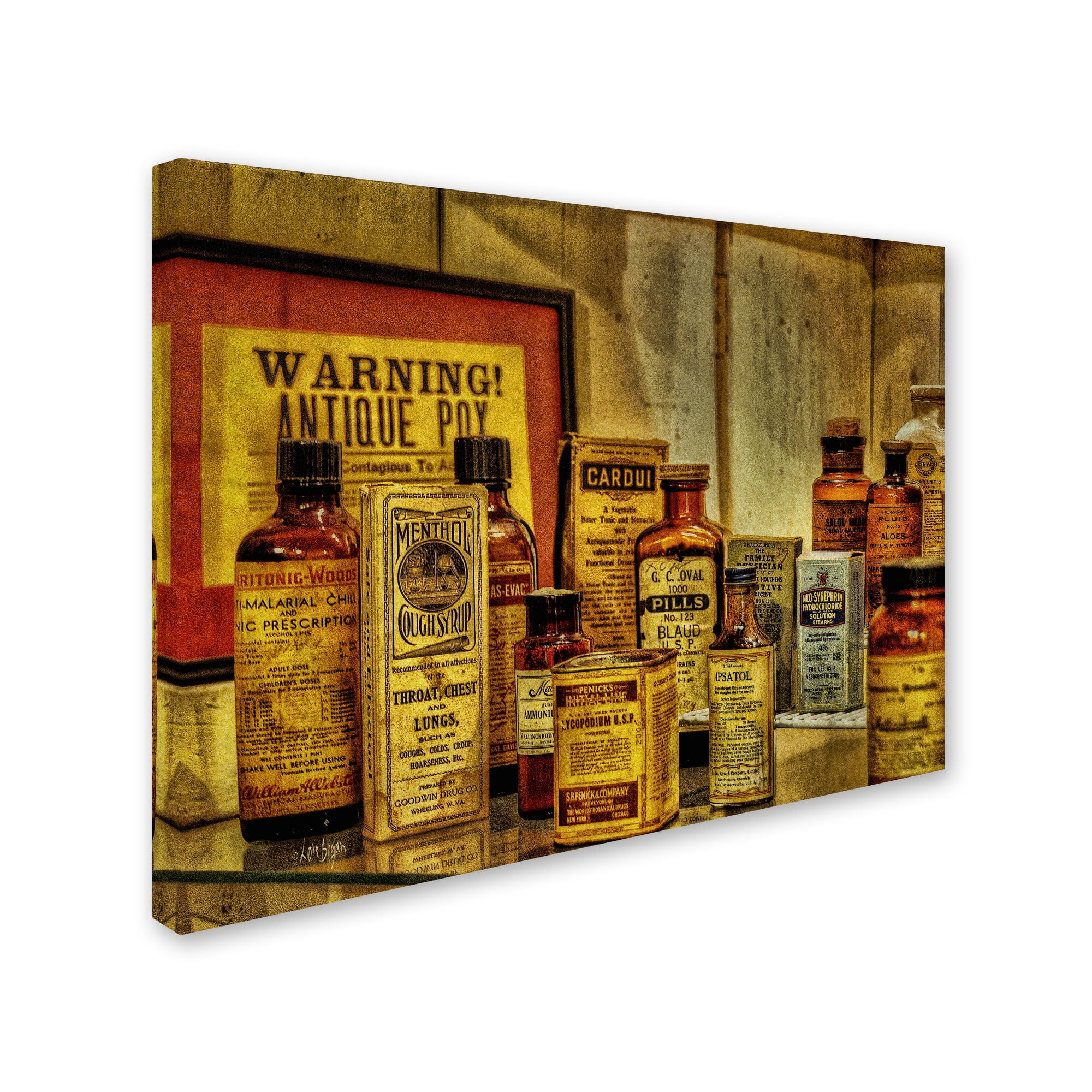 Trademark Fine Art "Vintage Medicines" Canvas Art by Lois Bryan