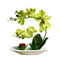 thumbnail image 1 of Ramo de flores artificiales Cateissary Orquídeas decoración hogar y oficina Verde, 1 of 6