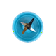thumbnail image 2 of Cuchilla para Babybullet Sofdesk Baby bullet, 2 of 3