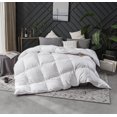 thumbnail image 1 of Royal Elite All Season Hutterite White Goose down Duvet, 1 of 5