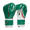 Green/White Limited Edition, variant on All Day Pro- Grip Plus Gloves (Hook and Loop)