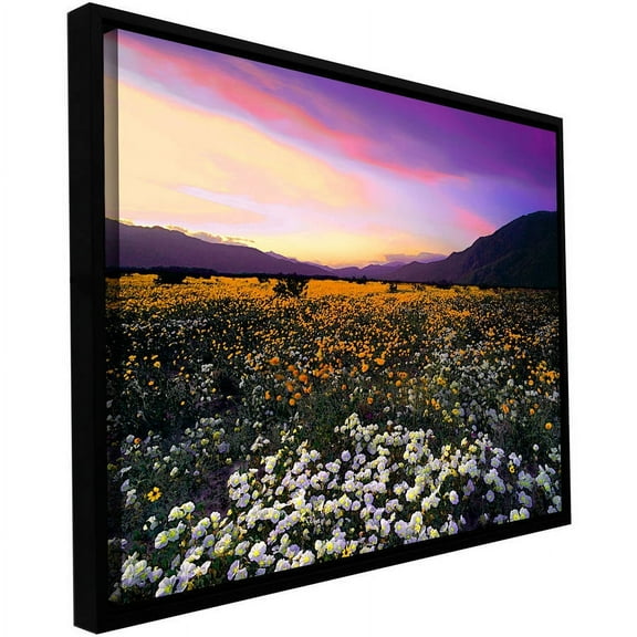 ArtWall Dean Uhlinger 'ADJ Borrego Desert Spring' Floater Framed Gallery-Wrapped Canvas Artwork, 14 by 18-Inch, Holds 12.5 by 16.5-Inch Image
