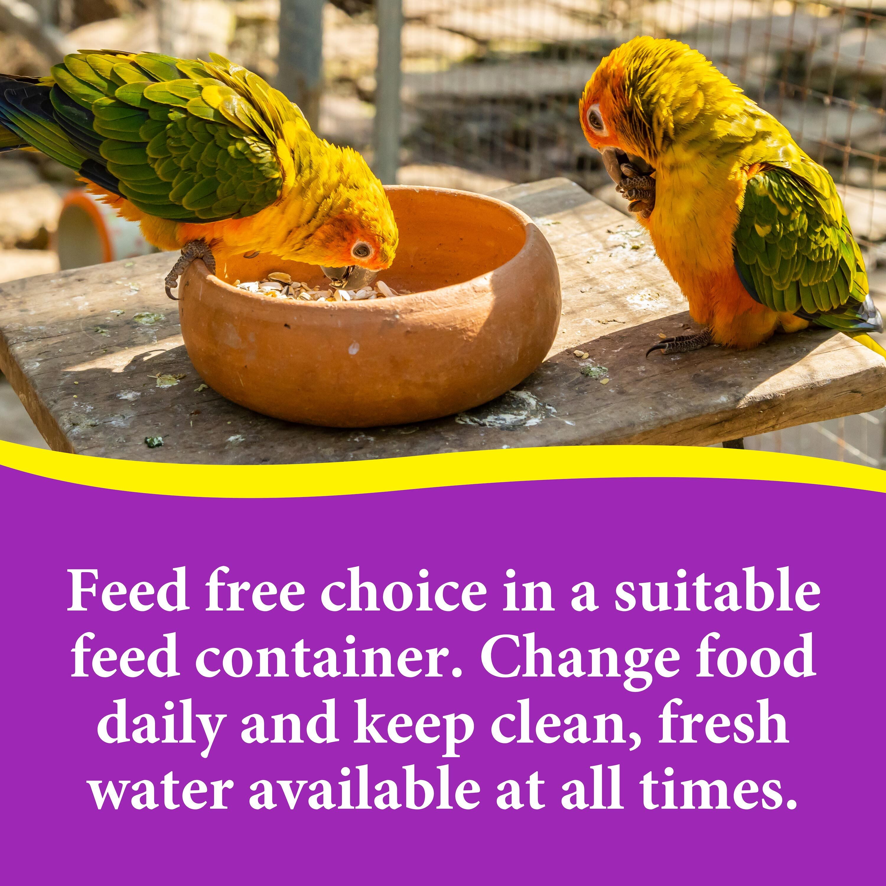 3-D Pet Products Premium Cockatiel Bird Food Seeds, with Probiotics, 4.5 lb. Stay Fresh Jar
