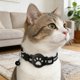 thumbnail image 4 of Collar inteligente para gatos con localizador electrónico «Find My», compatible con seguimiento en tiempo real, de silicona, ligero y ajustable para gatos pequeños y medianos, 4 of 4