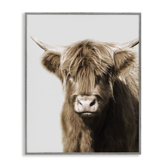 Stupell Industries Rustic Lodge Highland Cattle Close-Up Gray Framed Giclee Art, 16 x 20, by Danita Delimont