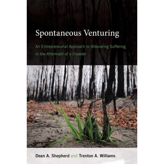 Spontaneous Venturing: An Entrepreneurial Approach to Alleviating Suffering in the Aftermath of a Disaster