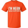 thumbnail image 2 of OXI T-Shirt - I Am Mean Because You Are Stupid, Basic Casual T-Shirt for Men's and Women Fleece T-Shirt Short Sleeve - Orange Medium, 2 of 3