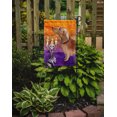thumbnail image 2 of Carolines Treasures CK3205GF Hallween Rouge Teckel Jardin Taille Drapeau, 2 of 3