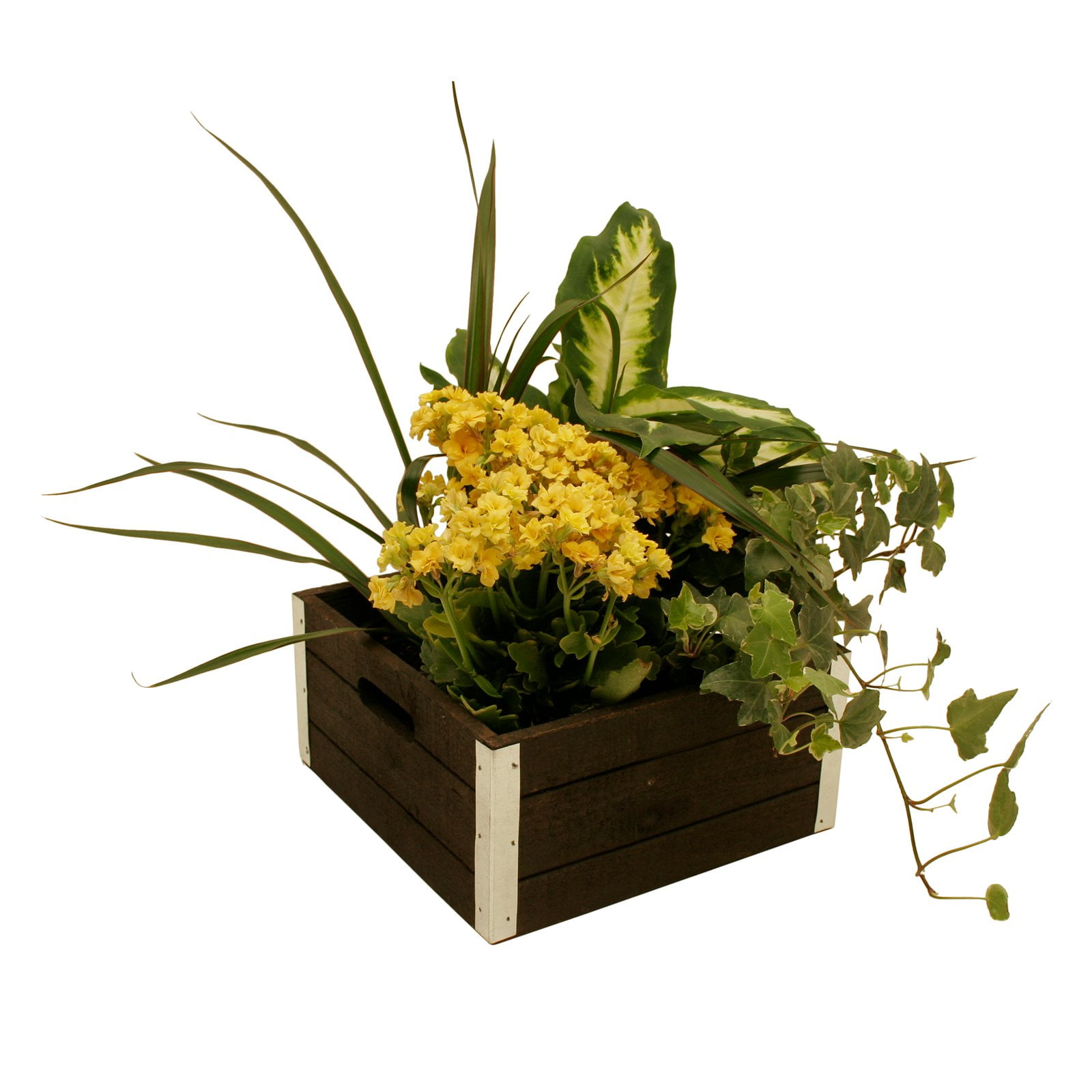 Wald Import Wood Crate Box Set of 3