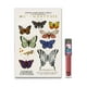 thumbnail image 1 of Set Labial Líquido Yuya la Sirena + Sombras Metamorfósis 18 Colores, 1 of 2