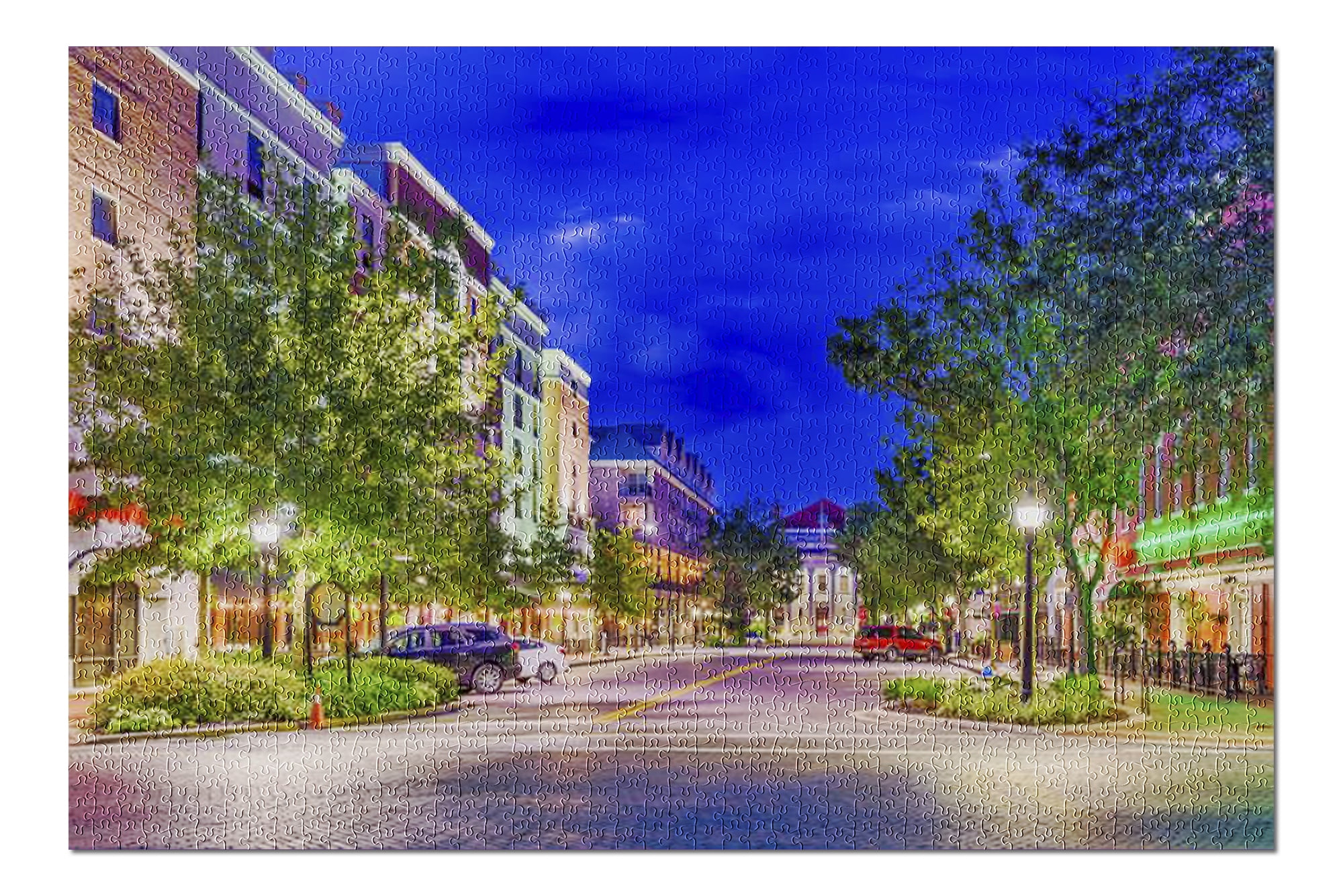 Gainesville, Florida Downtown Plaza at Night 9007418 (20x30 Premium