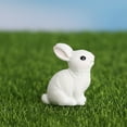 thumbnail image 2 of Huanglei Micro Ornaments Cute Animals Realistic Rabbit Micro Rabbit Gardening Resin Accessories, 2 of 8