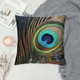 thumbnail image 2 of COMIO Waterproof Pillow Covers for Couch Throw Pillow Cases, Abstract Peacock Animal Feather Decorative Cushion Pillow Covers,Indoor Outdoor Decoration Ornate Colorful Plume, 2 of 5