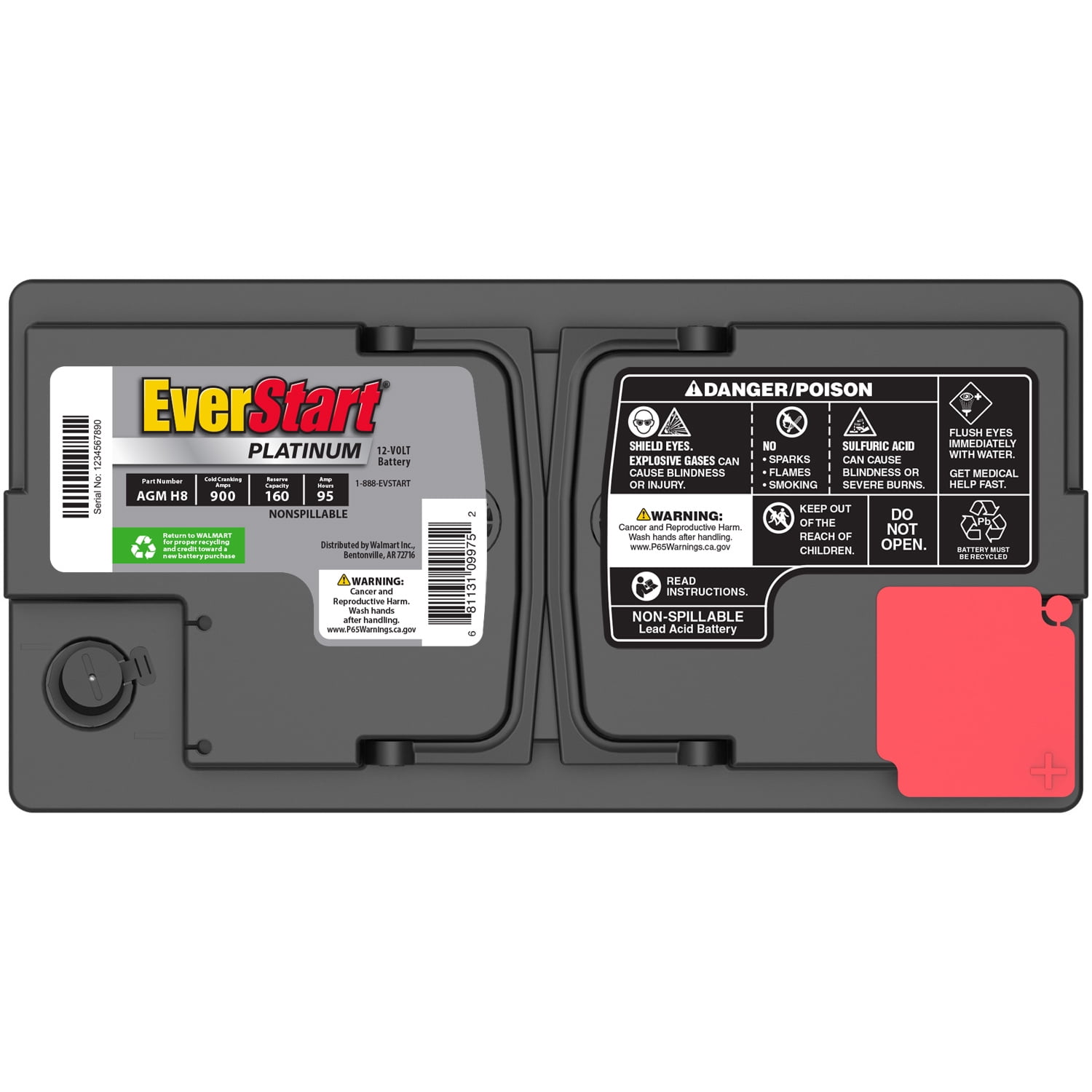EverStart Platinum AGM Automotive Battery, Group Size H8 / LN5 / 49 12 Volt, 900 CCA 150 RC