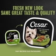 thumbnail image 5 of (6 pack) Cesar Classic Loaf in Sauce Wet Dog Food, Top Sirloin Flavor, 3.5 oz. Easy Peel Trays, 24 Count, 5 of 15