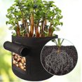 thumbnail image 2 of 3-pack Potato Grow Bags, Garden Plant Grow Bags, 2 of 2