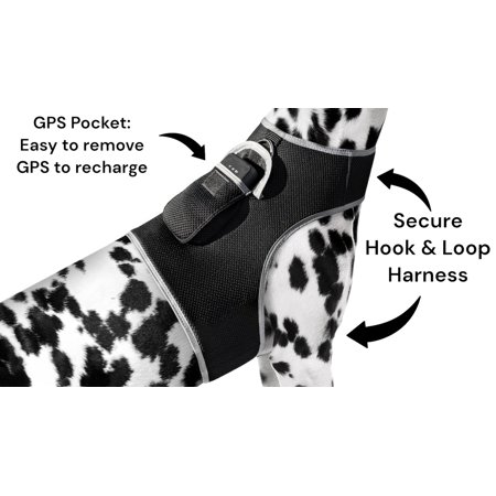 Android GPS Pet Tracker Realtime Tracking System Mini Dog Cat Locator Size:XL