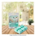 thumbnail image 4 of Cubos de Cera Hometrends Musked Bloom Aroma 70 G, 4 of 4