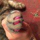 thumbnail image 4 of 40 Uds. Tapas suaves para uñas de perros y gatos, Protector de garras para mascotas, cubierta para uñas con aplicador de pegamento gratis, 4 of 5