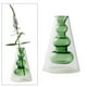 thumbnail image 3 of Elegante florero hidropónico novedad casa habitación adornos Verde Zulema florero hidropónico, 3 of 8