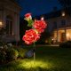 thumbnail image 4 of ddioayh Lifelike Solar Faux Flower Lights Solar Powered Waterproof LED with Auto On Off for Outdoor Garden Pathways Lawns Patio Yard Stake Lights, 4 of 8