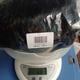 thumbnail image 4 of XWSHYW Pelucas Peluca de Encaje Frontal, Fibra Química Femenina, Pelo Largo y Rizado, Conjunto de 24 Pulgadas, 4 of 6