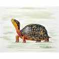 thumbnail image 1 of Betsy Drake PM491 Tapis de Place de Tortue Heureux - Ensemble de 4, 1 of 1