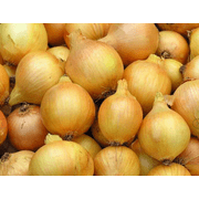 Onion Seed - Utah Yellow Sweet Spanish