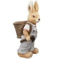 thumbnail image 4 of Northlight Boy Rabbit Outdoor Easter Garden Planter - 19.25", 4 of 8