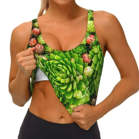 Qokaie Cactus And Succulents Pattern Womens Scoop Neck Sports Bra Breathable Workout Vest Padded U Back Medium Impact Fitness Gym Yoga Bra Workout Crop Top