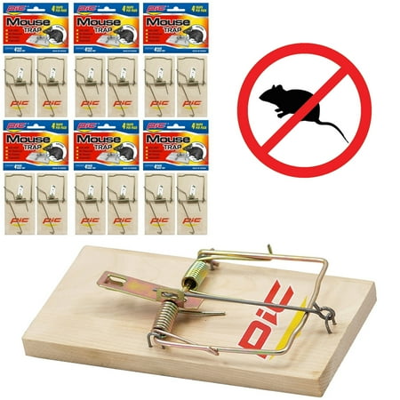 - 24 Mouse Traps Snap Spring Wooden Rodent Control Rat Mice Bait Trap Trays Boards