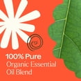 thumbnail image 2 of Plant Therapy Organic Rapid Relief Essential Oil Blend 10 mL (1/3 oz) Pain and Soreness Blend 100% Pure, Undiluted, Natural Aromatherapy, 2 of 9
