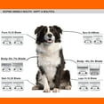 thumbnail image 2 of Cuchillas de repuesto para aseo canino, paquete de 3, para Andis/Oster/Wahl, 2 of 9