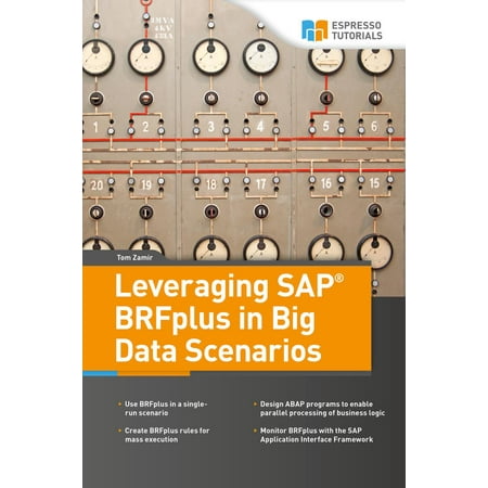 Leveraging SAP BRFplus in Big Data Scenarios -