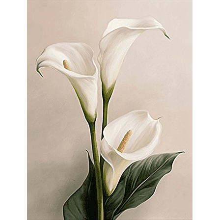 Calla Lily Decorative Painting/Canvas Art， Perfect for Living Room，White Flower Wall Art Canvas Print Poster， Botanical Art， Floral Wall Decor.