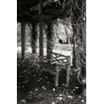 thumbnail image 2 of Hausenflock, Alan 23x32 Gold Ornate Wood Framed with Double Matting Museum Art Print Titled - Winter Arbor II, 2 of 4