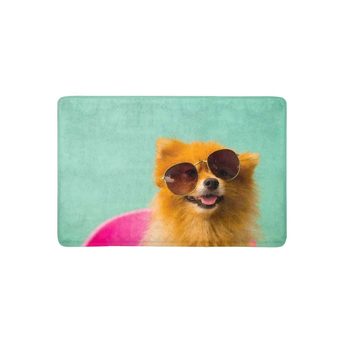 pomeranian with sunglasses